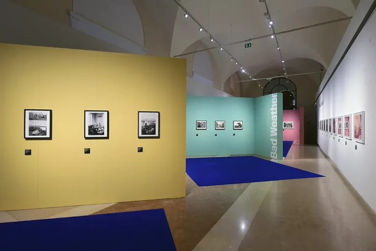 Veduta della mostra con i pannelli colorati che delitano le varie sezioni tematiche della mostra